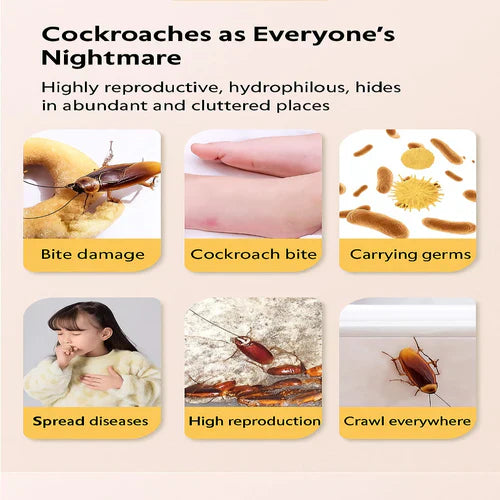 Combat Roach Killing Bait(Pack of 6)
