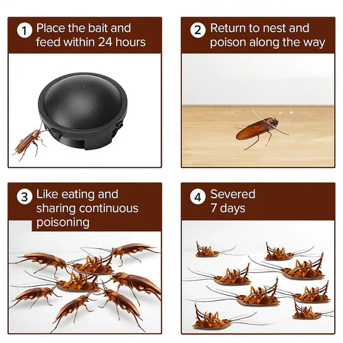 Combat Roach Killing Bait(Pack of 6)
