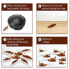 Combat Roach Killing Bait(Pack of 6)